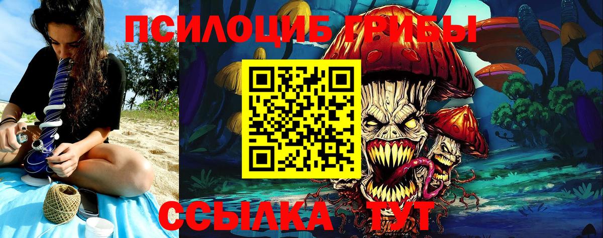 Псилоцибиновые грибы прущие грибы Ноябрьск